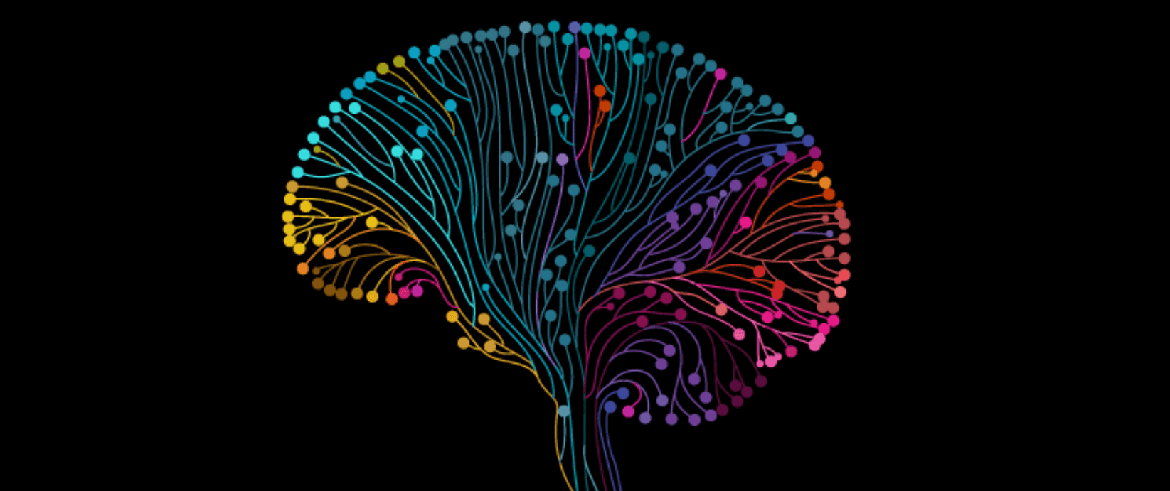 Header image for school article